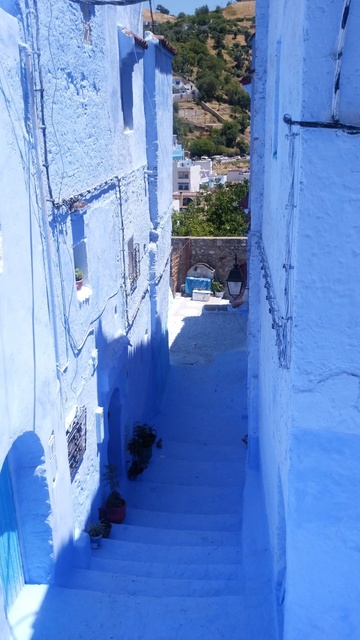 DSC_0104.jpg