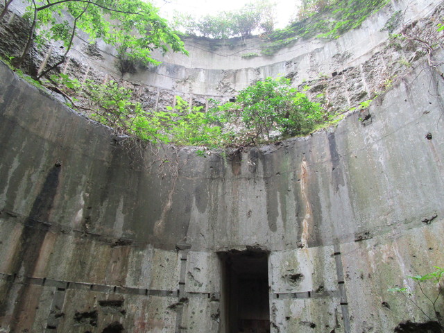 茨城 魚市場