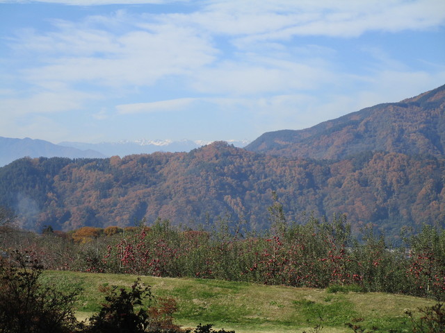 IMG_3712.JPG