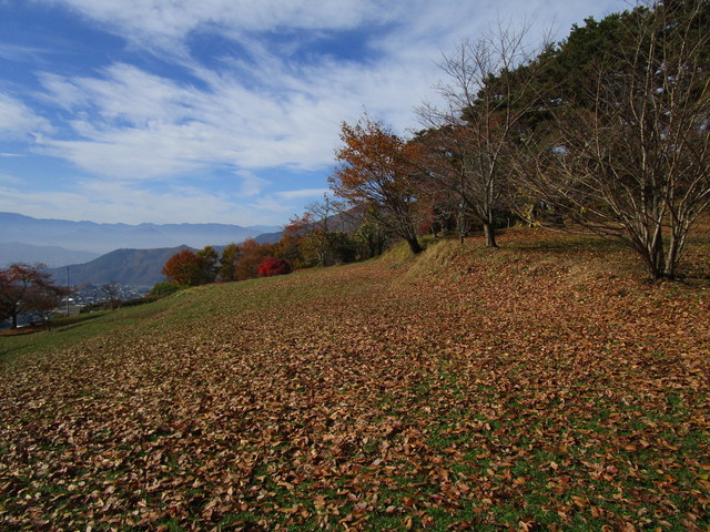 IMG_3726.JPG
